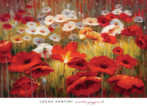SANTINI - Meadow Poppies II